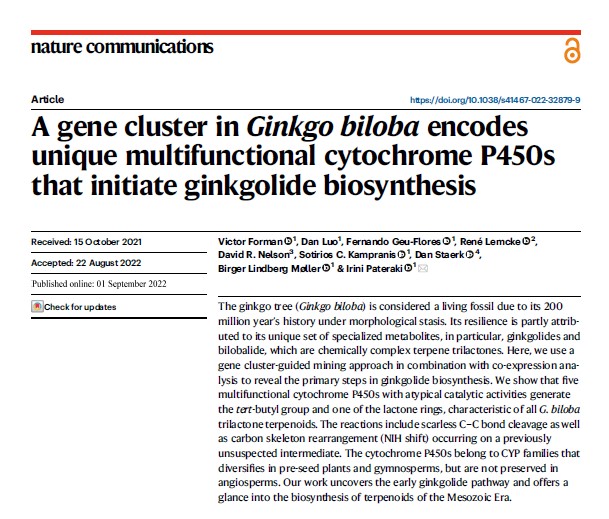 Kampranis Lab (@kampranislab) on Twitter photo Congratulation to all co-authors <a href="/GeuFloresF/">Fernando Geu-Flores</a>, <a href="/s_kampranis/">Sotirios Kampranis</a>, <a href="/DanStaerk/">Dan Staerk</a> for this amazing work on the elucidation of the first steps of ginkgolide biosynthesis <a href="/NatureComms/">Nature Communications</a>. Unfortunately Victor and Dan do not have Twitter accounts <a href="/KU_PLEN/">Department of Plant & Environmental Sciences</a>, <a href="/UCPH_Research/">University of Copenhagen Research</a>
rdcu.be/cUMIE Congratulation to all co-authors <a href="/GeuFloresF/">Fernando Geu-Flores</a>, <a href="/s_kampranis/">Sotirios Kampranis</a>, <a href="/DanStaerk/">Dan Staerk</a> for this amazing work on the elucidation of the first steps of ginkgolide biosynthesis <a href="/NatureComms/">Nature Communications</a>. Unfortunately Victor and Dan do not have Twitter accounts <a href="/KU_PLEN/">Department of Plant & Environmental Sciences</a>, <a href="/UCPH_Research/">University of Copenhagen Research</a>
rdcu.be/cUMIE