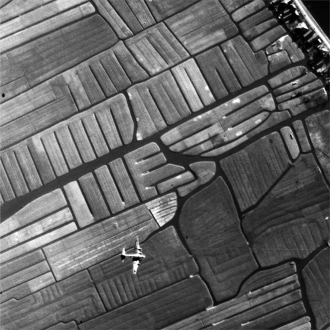 Saricon Safety & Risk Consultancy tweet media