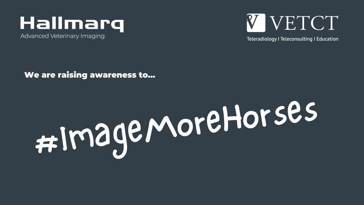 HallmarqVI's tweet photo. In the run-up to @BEVA_news, Hallmarq and @VetCT are on a mission to raise awareness on the accessibility and benefits of using advanced diagnostic imaging for horses 🐴
Find us at #BEVA on stand #G18 to learn more 👀
#imagemorehorses https://t.co/cwM6t1OYJb