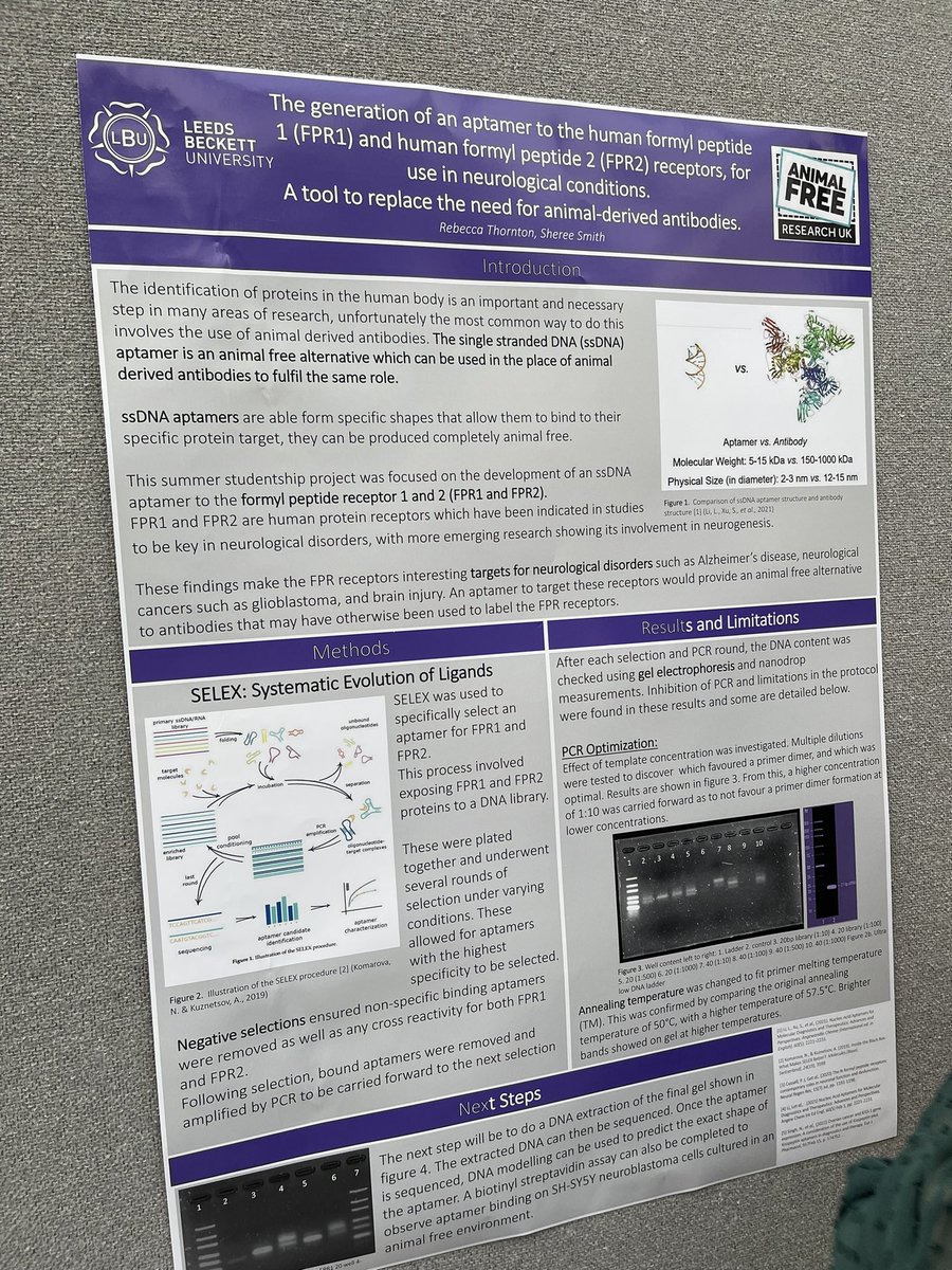 ScienceySheree's tweet photo. Super proud of Rebecca showcasing her 3 months of hard work in an animal-free research project funded by @AFR_UK . Read about her project: https://t.co/I5rk8F6DLV I was also delighted to speak a little about my own journey with the charity. @leedsbeckett @BMSLeedsBeckett https://t.co/oAsM3l5q9H