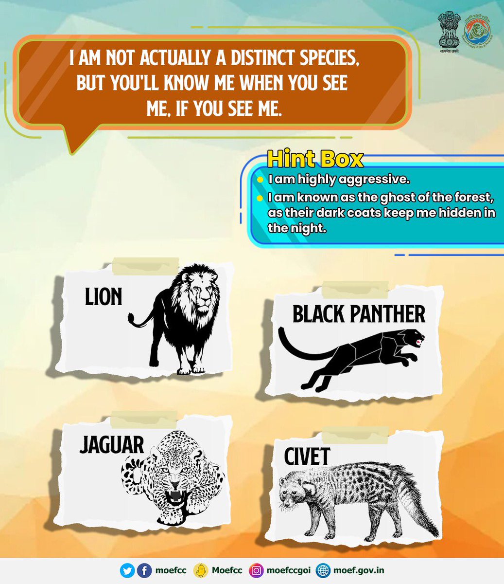 moefcc's tweet photo. Can you Identify the Wild Cat mentioned here! Don't forget to use Hint Box. #WildCatsofIndia https://t.co/IpshxxojSC