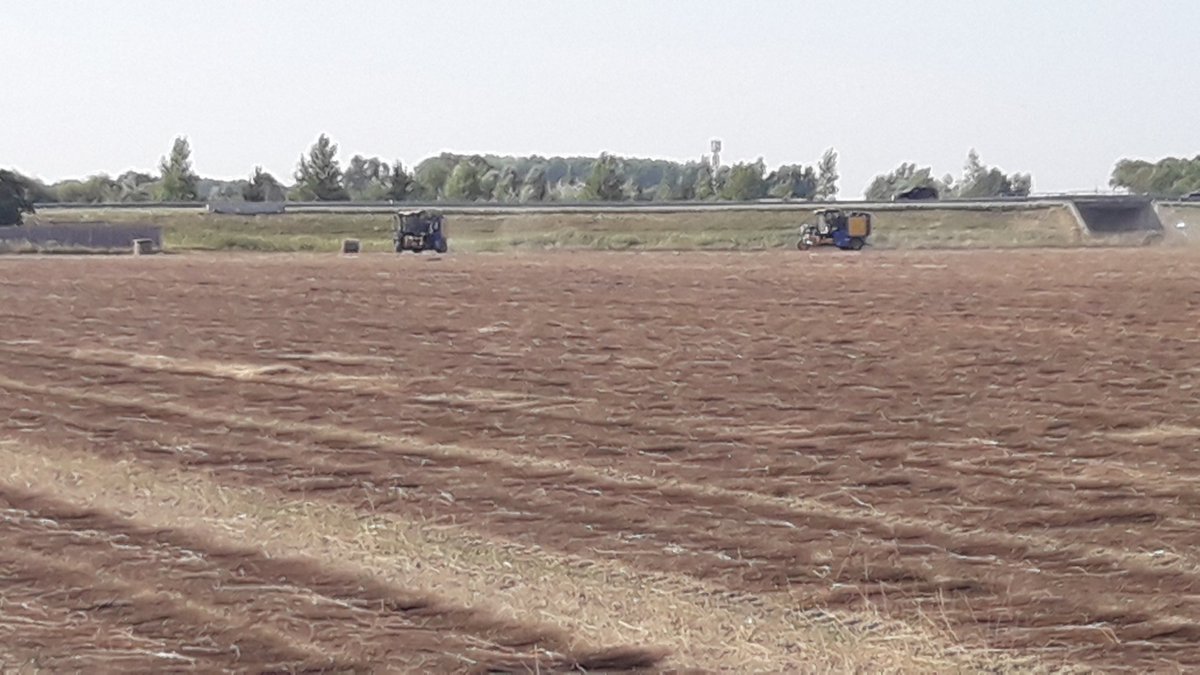 Michael Schippers tweet media