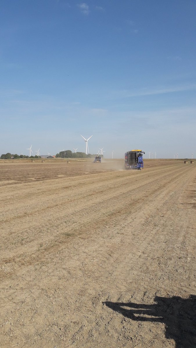 Michael Schippers tweet media