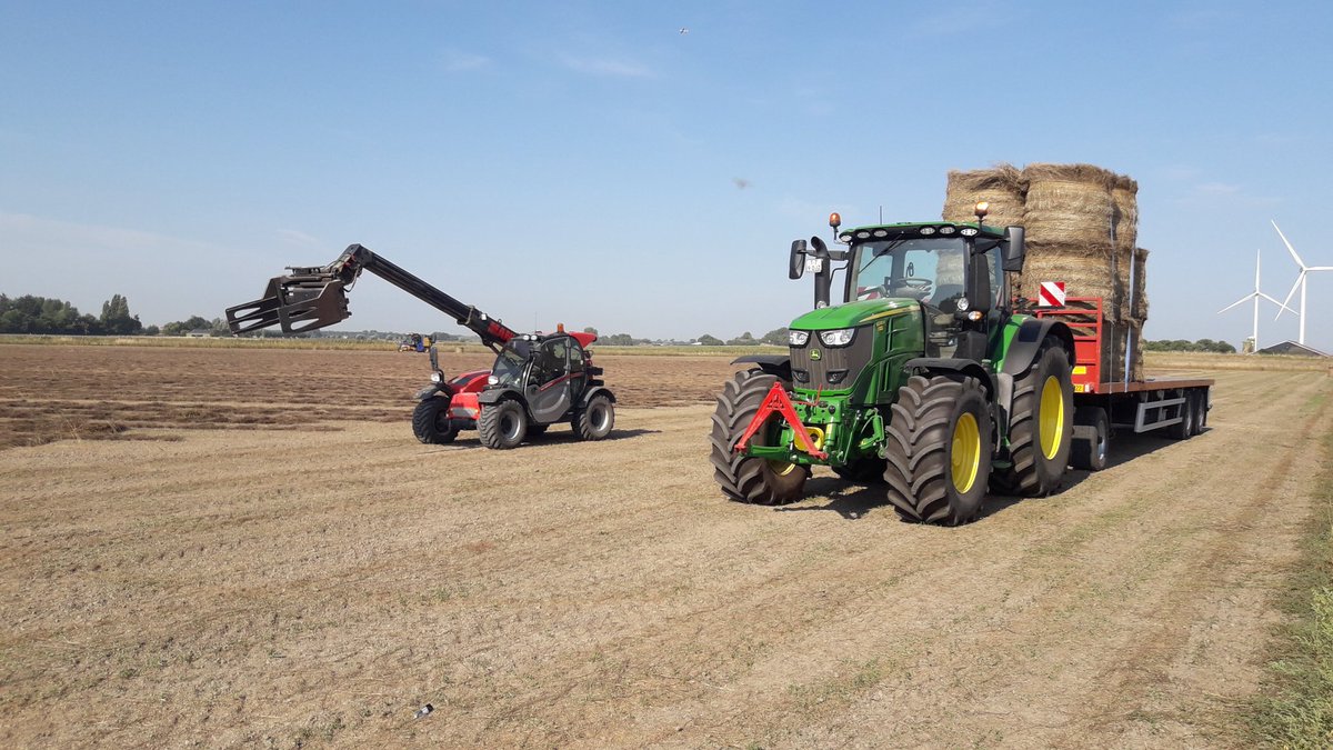 Michael Schippers tweet media