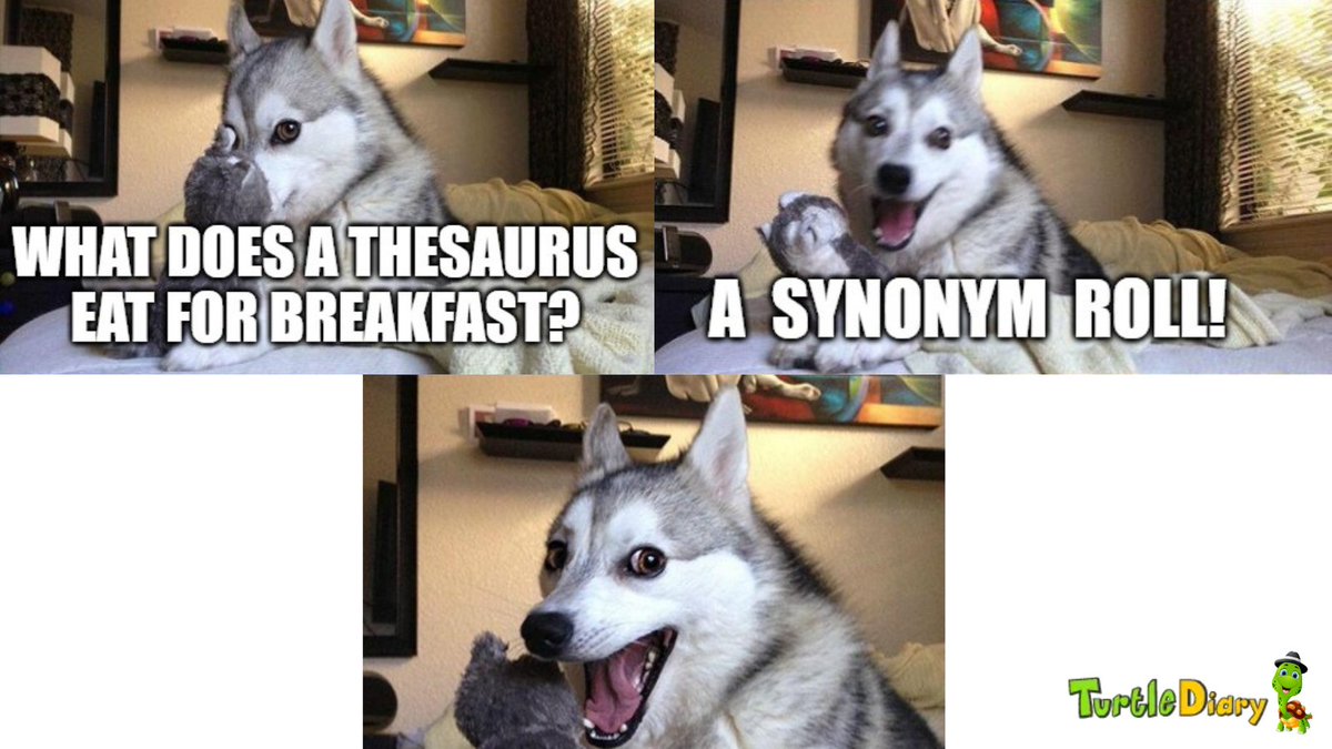 turtlediarycom's tweet image. What's your best back-to-school joke?  (Bonus points if it includes a cute doggo!)

Share your funniest - or punniest - below! 

#turtlediary #jokesforkids #kidsjokes #freekidsgames #Games4Ed #edapps #parents #teaching #gamification #homeschool #homeeducation #backtoschool