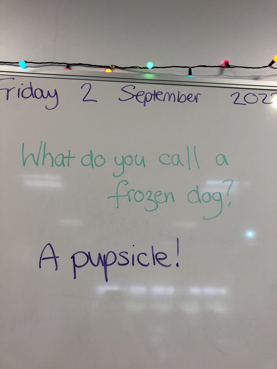 PortyICT's tweet photo. Pup theme in the faculty today! 🐶🐾🦴 #HappyFriday #cakefriday #pupsicle https://t.co/9ukI447qOS