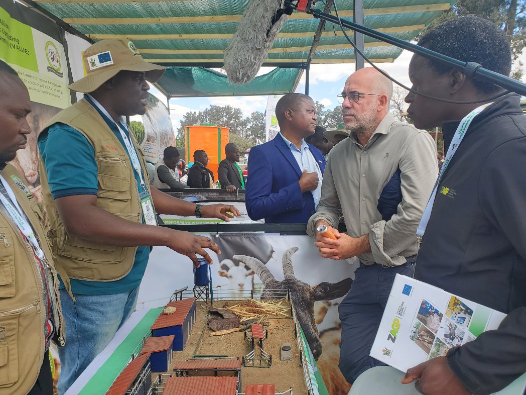 Zimbabwe Agricultural Growth Programme tweet media