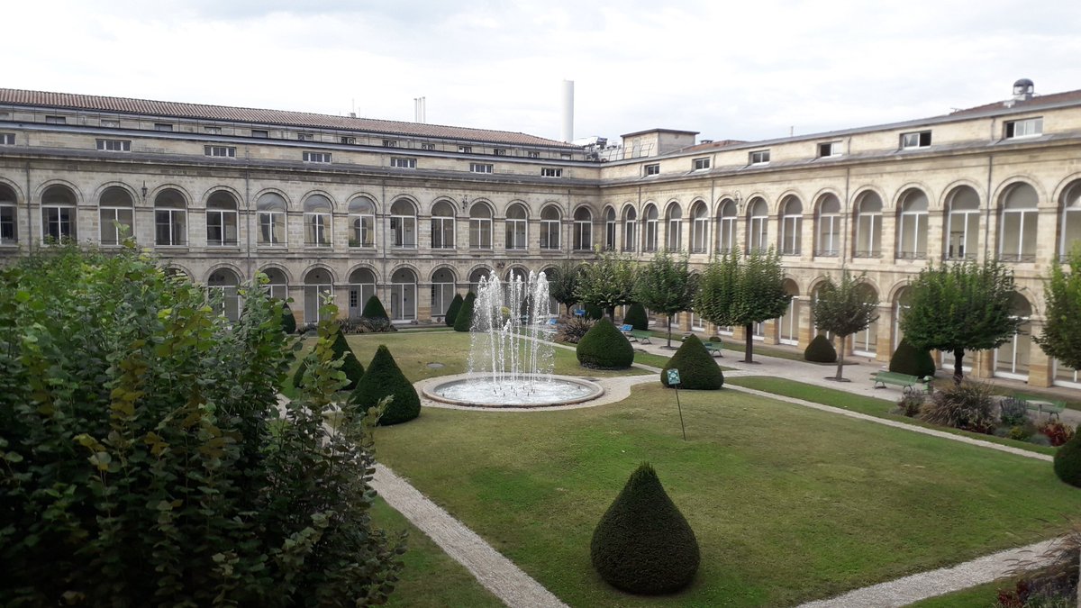 CHU de Bordeaux tweet media