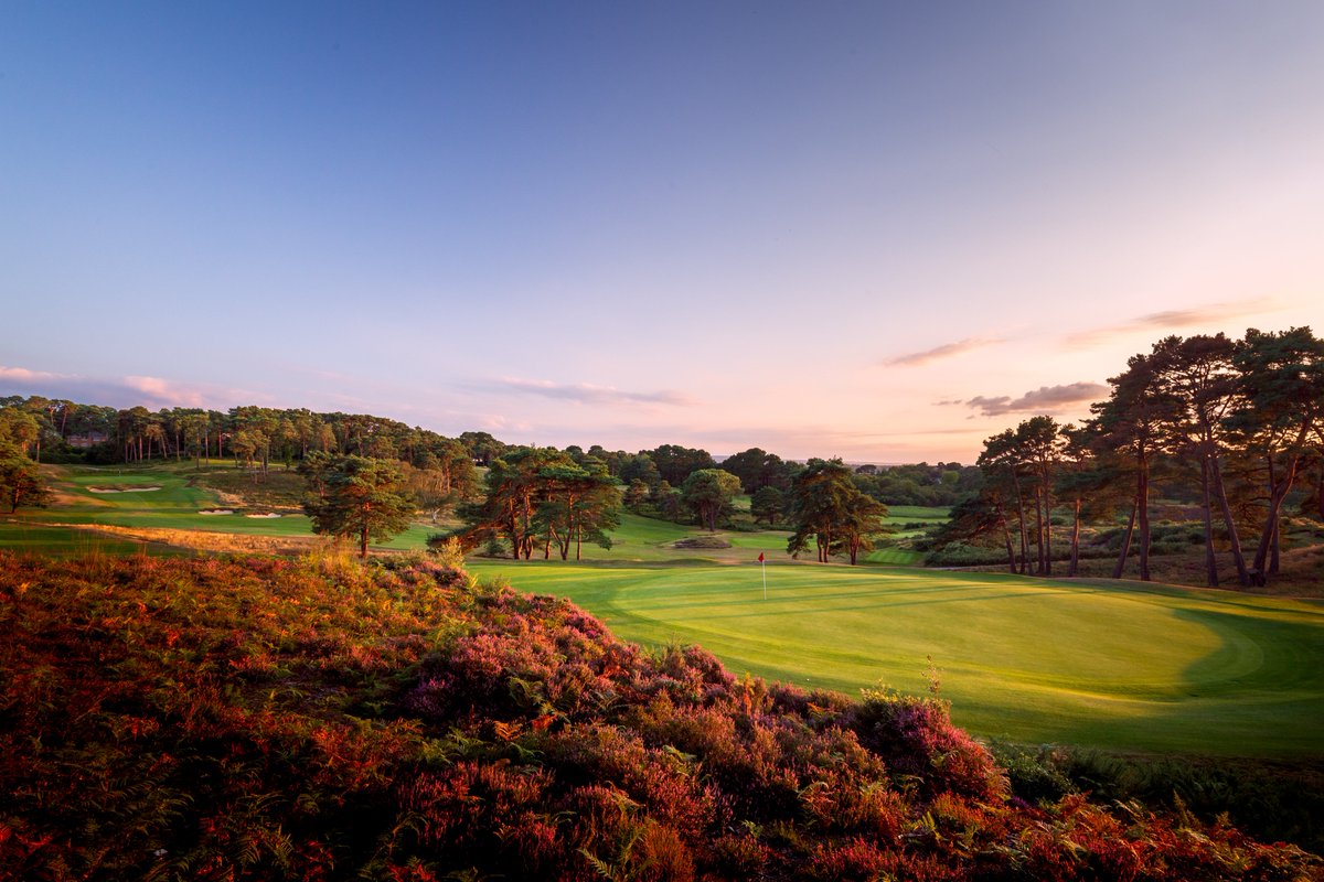 jasonlivy's tweet photo. 15th hole at Parkstone Golf Club

📸 @jasonlivy

#golfcoursearchitecture #golfcoursephotography #beautifulgolfcourses https://t.co/CipiM4OFyd
