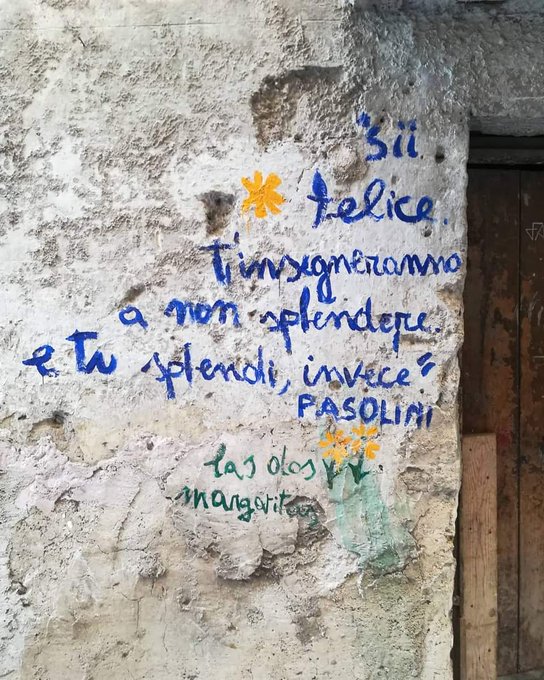 Maria Stella tweet media