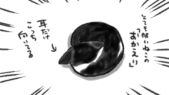 わたしの帰宅直後、「かいぬし…帰ってきた…」と思っているし、よろこんでくれている気もするけど眠気に負けているねこ 
