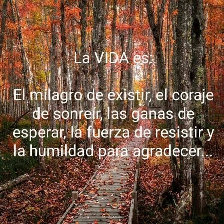 Cokiee42496307's tweet image. Les Deseo Un Feliz viernes #2Set 

Cada Minuto en nuestras vidas es importante..

#PatriaUnidaDePaz 

Reflexiones 🍂💥✌🏼
@Valeria_GR76 @Michellediaz22 @YaniPimentelR @estr3mao1411 @Mippcivzla