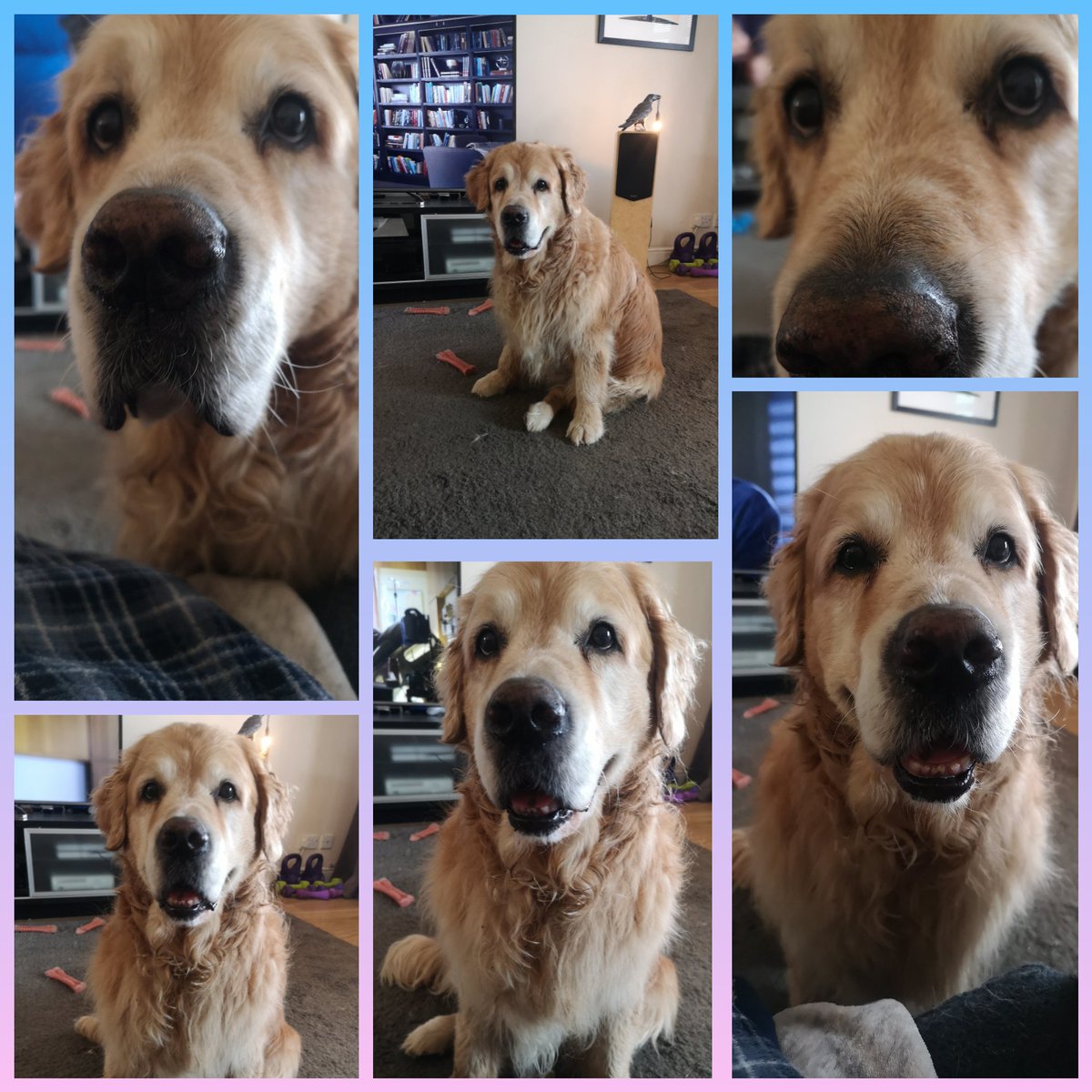 Is it lunchtime yet: a story in six parts.