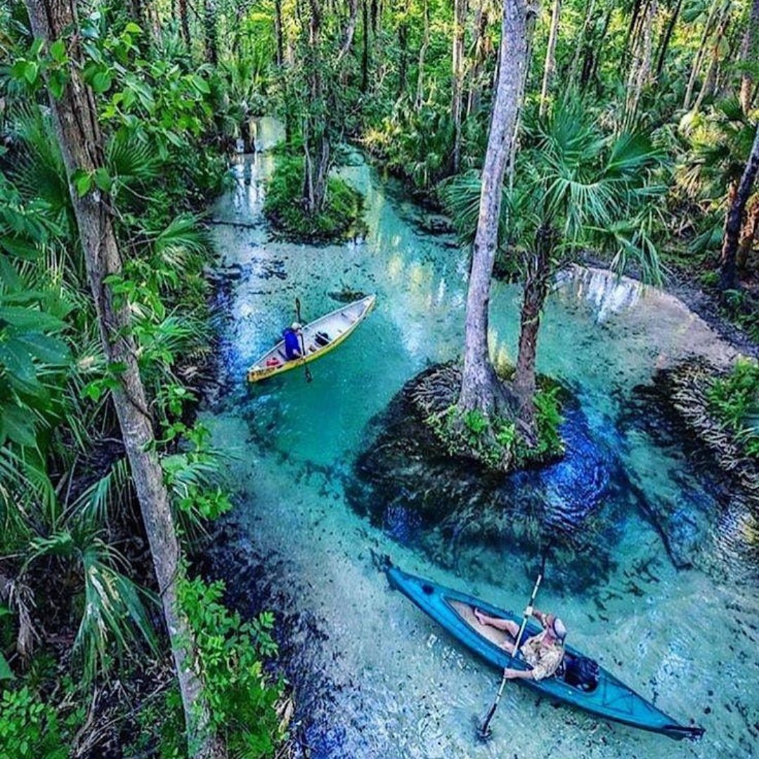 FloridaSplendor's tweet photo. You won't believe this place exists in Florida! King's Landing takes you through a wild and majestic river and wildlife adventure. π΄
#floridaexplore #visitfl #travelflorida #florida #wildlife #places https://t.co/Q1cPV6udtQ