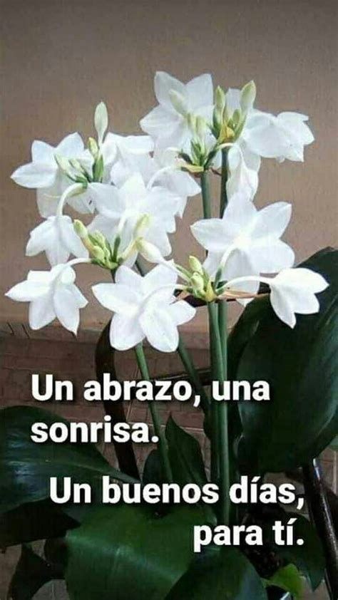 Muy buen inicio de fin de semana.  Excelente día para TODOS 😉👌🍀☕🌊⛱️🌞