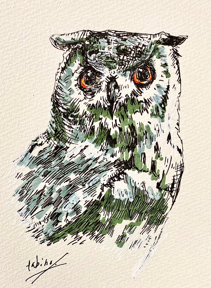 ミミズクスケッチ。#ミミズク #スケッチ #動物イラスト #絵描きさんと