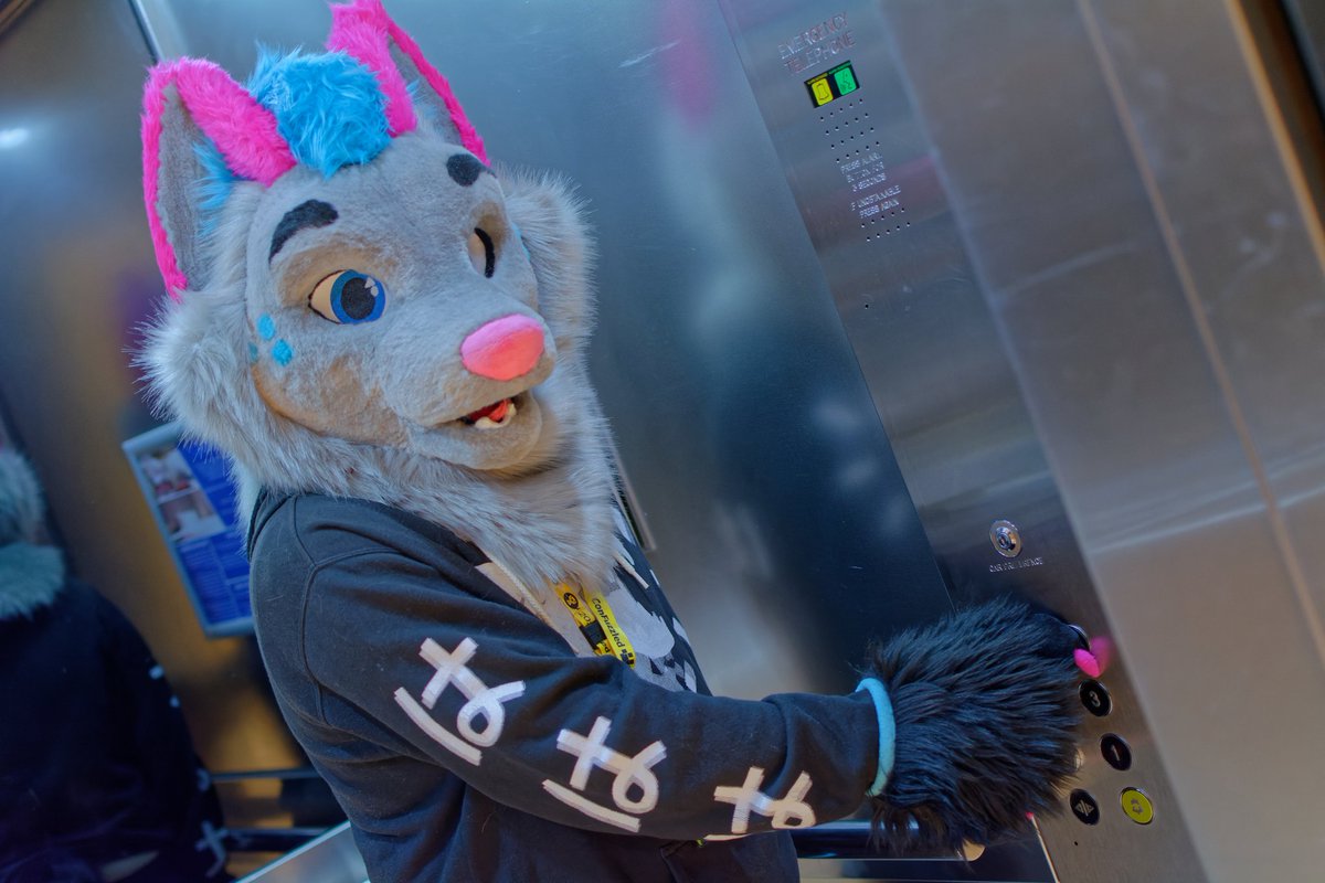 BuiltByAxel's tweet photo. Oh hey there, what floor do you need?
#FursuitFriday
๐ธ : @OfficialTealFox
๐งต : @BuiltByAxel
๐ : #CFz22 https://t.co/FpiIf2iShj