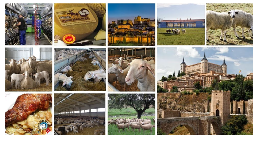 10th International Sheep Veterinary Congress in Spain  6th - 10th Mar 2023 isvc2023.com
Registration – early registration deadline: 20th December 2022
Scientific communications – Abstract submission deadline: 25th September 2022
<a href="/SEOCSpain/">congresoSEOC2026</a> #ISVC2023