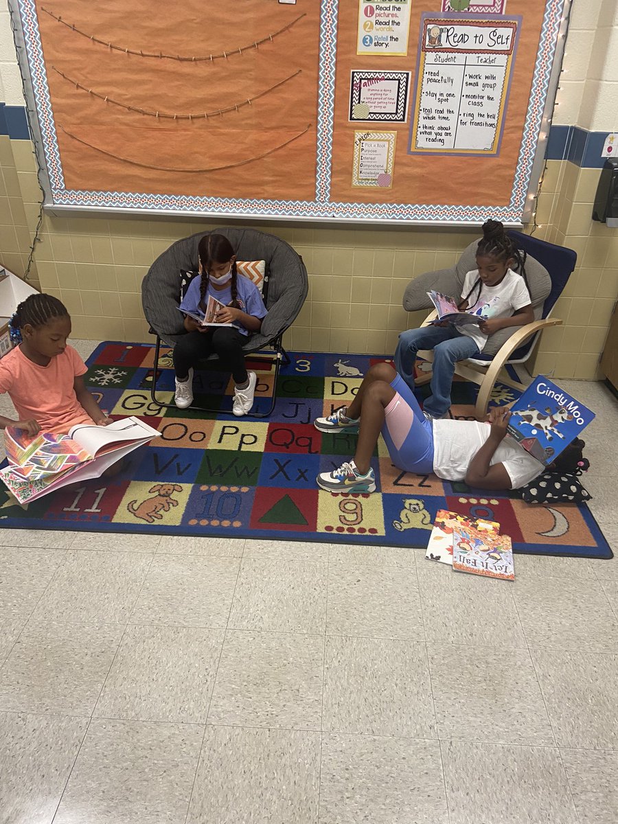 Alaleh Sadri tweet media