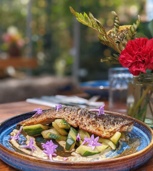 Windsor Yards tweet media