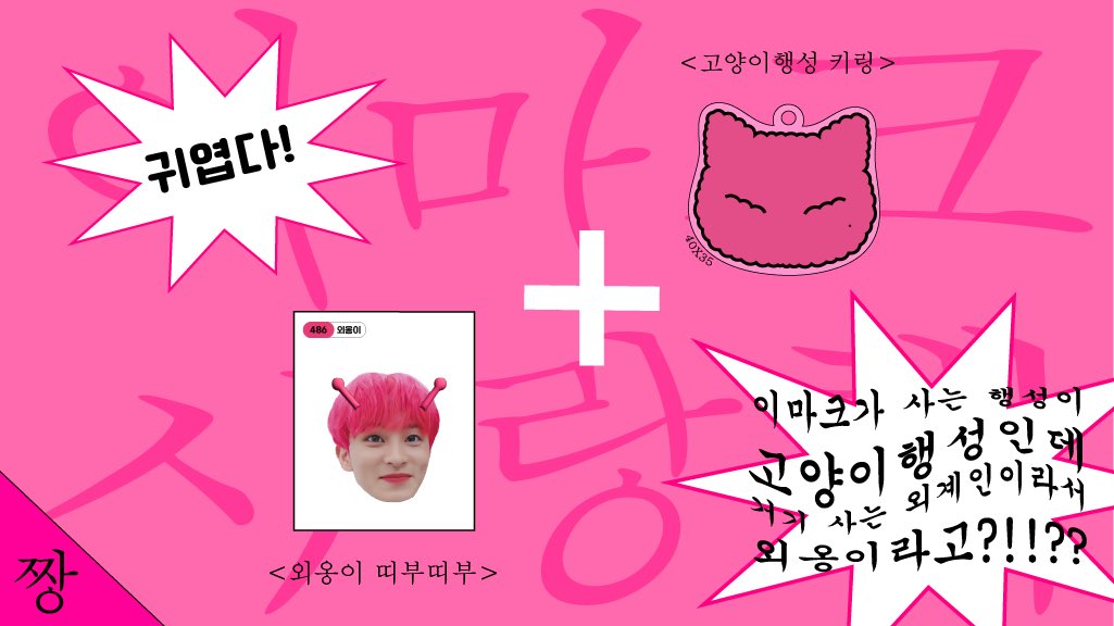 고양이행성 tweet media