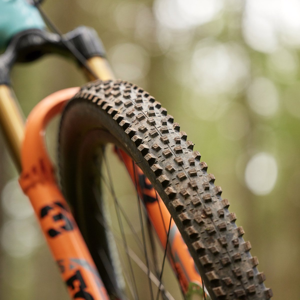 _RushSports_'s tweet photo. The all new Maxxis Forekaster has landed and is in-store across 🇿🇦

The 29x2.4” WT Forekaster’s tread pattern has been redesigned for short travel trail riders, making it perfectly suited to South African mountain bikers.

Do yourself a favour and get involved 👊

#WeRide https://t.co/XJp6Sco99L