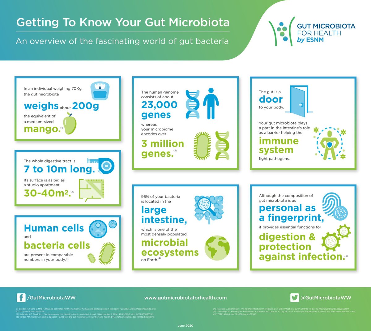 andreuprados's tweet image. Siete curiosidades sobre la microbiota intestinal y su porqué vía @GMFHx @GutMicrobiotaWW