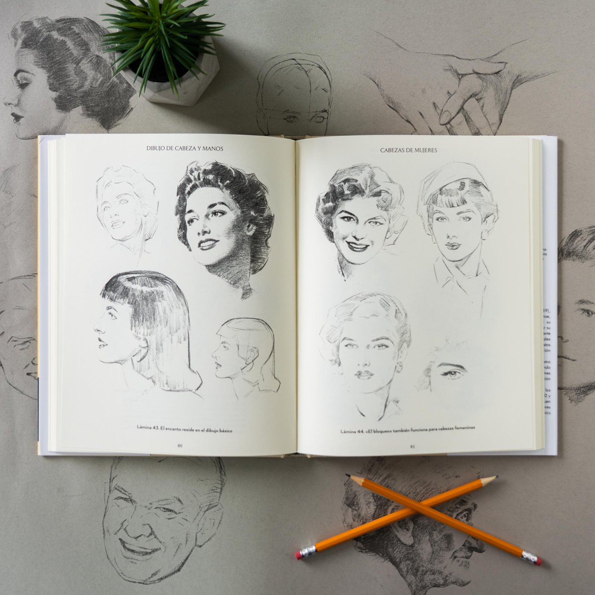 Anaya_Multimed's tweet photo. En este libro Andrew Loomis guía a artistas emergentes en el dibujo, ilustrando las técnicas necesarias para conseguir detalles de expresión, ángulos y efectos de luz. 🎨
'Dibujo de cabeza y manos' ✍️
👉 https://t.co/mFTA09wWs8 https://t.co/6xUhzwIobF