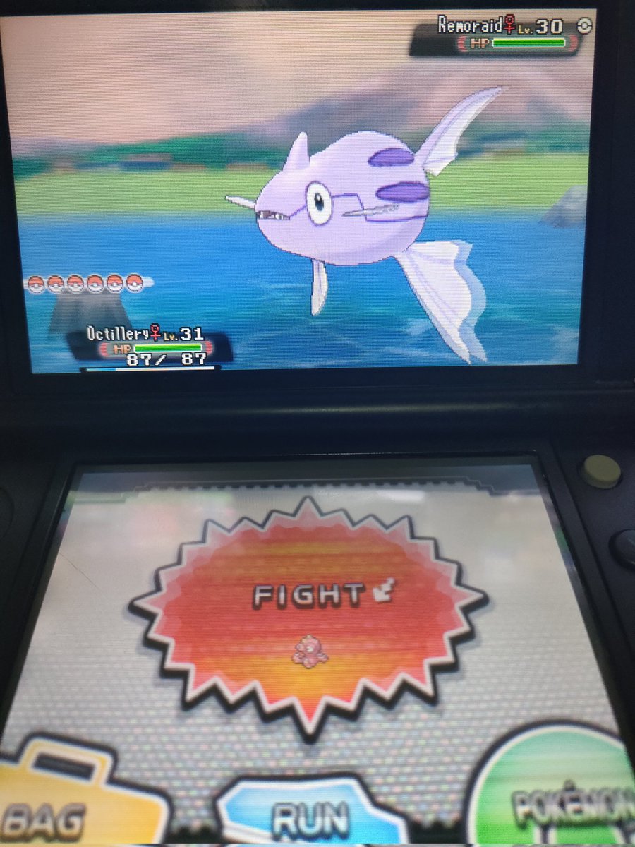 Shinygati's tweet image. Shiny Remoraid!
#MethodMadness #ShinyPokemon