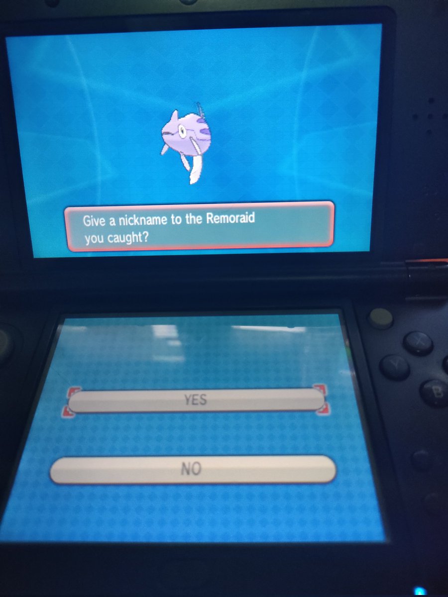 Shinygati's tweet image. Shiny Remoraid!
#MethodMadness #ShinyPokemon