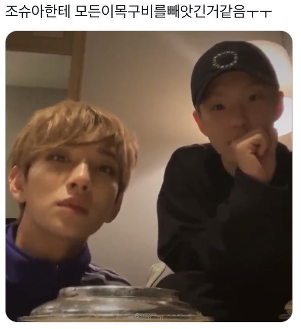 hammzzu's tweet photo. 햄밤즈 사진 많이 모았다 https://t.co/NP86UO0Uqv
