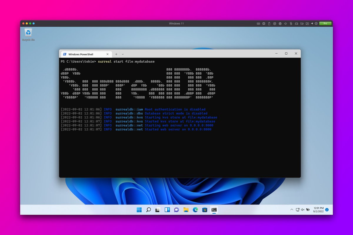 🆕 Just released <a href="/SurrealDB/">SurrealDB</a> for Windows! 🚀

#cloud #data #database #javascript #js #rust #SurrealDB #Windows