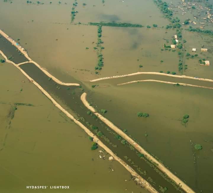NetworkInsan's tweet image. Catastrophic flooding has submerged nearly 40% of Sindh region in water. From satellite, it looks like a Sea/lake has been formed in Upper Sindh. 
Photo credit: Hydaspes Lighbox
#SindhNeedsDisasterRelief #Sindhfloods #PakistanFloodsAppeal @UNICEF @USAID_Pakistan @cnni