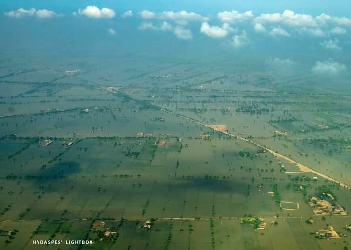 NetworkInsan's tweet image. Catastrophic flooding has submerged nearly 40% of Sindh region in water. From satellite, it looks like a Sea/lake has been formed in Upper Sindh. 
Photo credit: Hydaspes Lighbox
#SindhNeedsDisasterRelief #Sindhfloods #PakistanFloodsAppeal @UNICEF @USAID_Pakistan @cnni