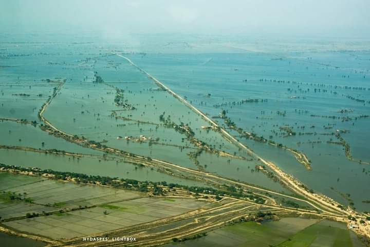 NetworkInsan's tweet image. Catastrophic flooding has submerged nearly 40% of Sindh region in water. From satellite, it looks like a Sea/lake has been formed in Upper Sindh. 
Photo credit: Hydaspes Lighbox
#SindhNeedsDisasterRelief #Sindhfloods #PakistanFloodsAppeal @UNICEF @USAID_Pakistan @cnni