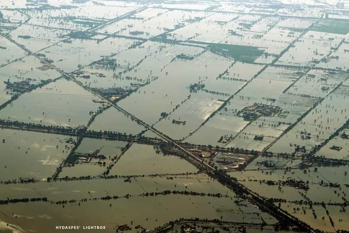 NetworkInsan's tweet image. Catastrophic flooding has submerged nearly 40% of Sindh region in water. From satellite, it looks like a Sea/lake has been formed in Upper Sindh. 
Photo credit: Hydaspes Lighbox
#SindhNeedsDisasterRelief #Sindhfloods #PakistanFloodsAppeal @UNICEF @USAID_Pakistan @cnni