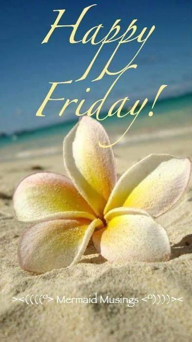 deborah_saffer's tweet photo. #GoodMorning All. Happy #Friday 😊 Heading out for #WorkStudy hours. Then, it’s back to #CommonTable kitchen and classroom. Today is #Month 1 done ✅ I Sure Hope Everyone has a Truly Blessed Day &amp; Much Unconditional Love Always 💜 #FutureIsAnAttitude #RecoveryGoals #Amputee https://t.co/rJICl1puRX