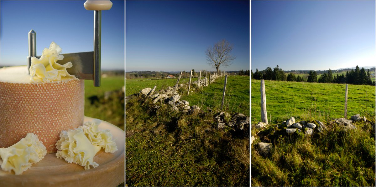 🌍 ODT Forum 2022 explores the territories’ responses to the climate crisis 🌍
📚 Discover our latest blogpost  📚
origin-for-sustainability.org/en/forum-odt-2… 
 Click here to register to ODT Forum 2022. 🔗  bit.ly/3H0AVPM
Online and Real-Life participation available  🍄