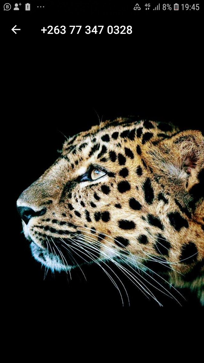 _zimsanctions's tweet photo. Focus...... https://t.co/E1Vd5VqGlb