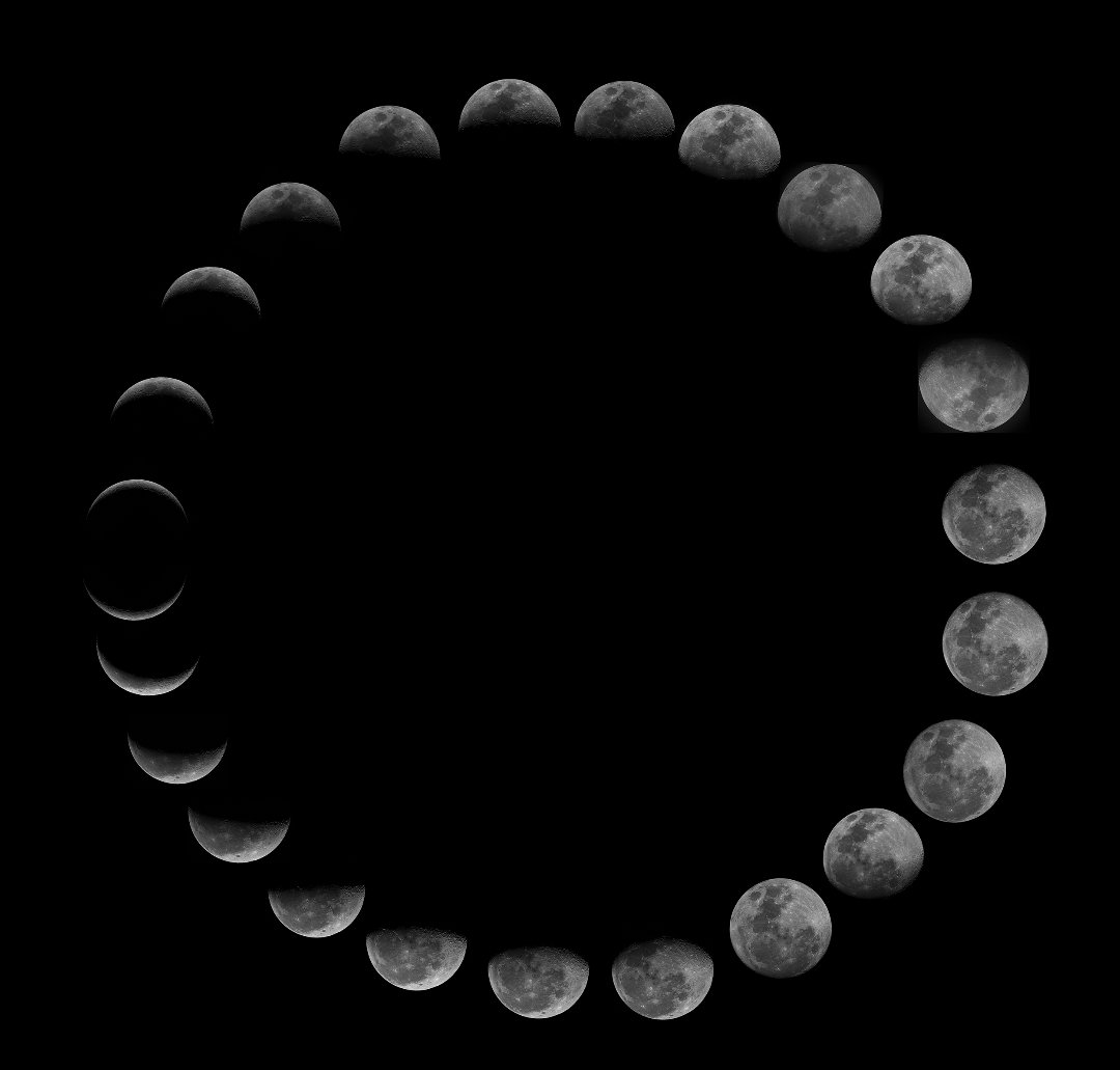 nilamadhabpanda's tweet image. The Moon says it's okay to go through phases 🌕🌑
The Sun says no matter how many times you go down, rise up 🌄🌅
So what else did you learn from nature 🙂 wishing all a happy weekend 
#FridayThoughts #LessonsFromNature