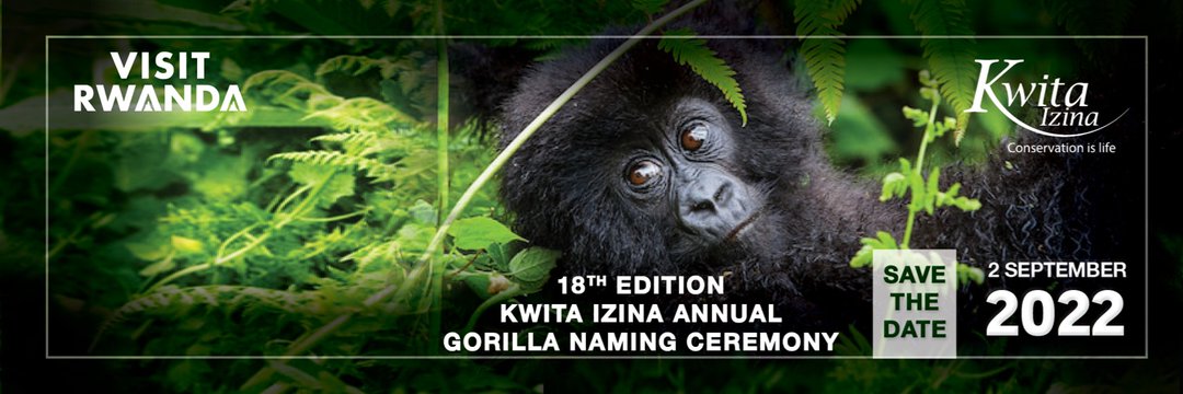 RyvcpGashenyi's tweet photo. Urubyiruko rw'Abakorerabushake @RyvcpGashenyi Twabucyere turi muri Deployment k'Umuhanda twita ku Isuku no Kwita kubaturage.
Kuri uyu Munsi wo #KwitaIzina2022
Byagenze Neza. 🇷🇼
@RwandaLocalGov @MushaijaGeoffr3 @gatjmv @Rwandapolice @Kwitaizina @inzizaJbosco @DUNIASaadi1 #VisitRw https://t.co/bCi7hMZuB9