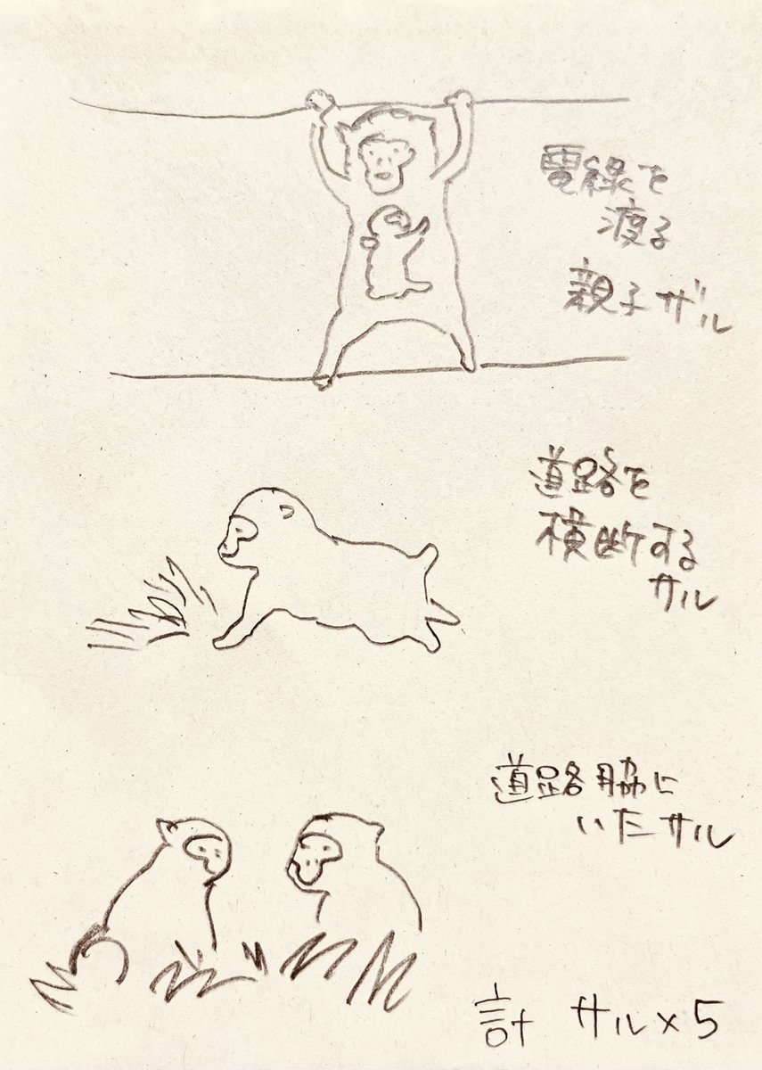 今日名古屋⇔滋賀間で見たどうぶつ 