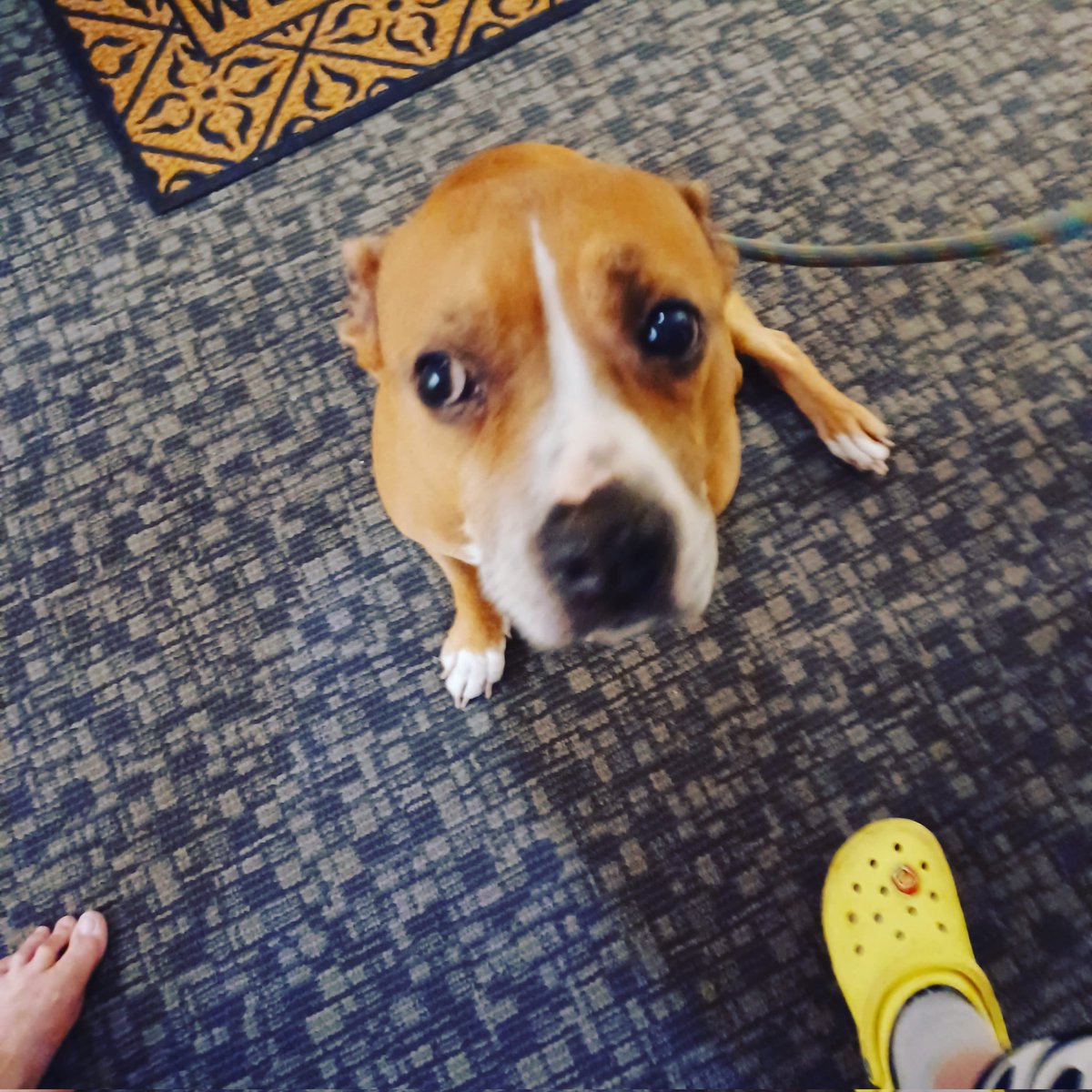 The  Blessing Pearls tweet media