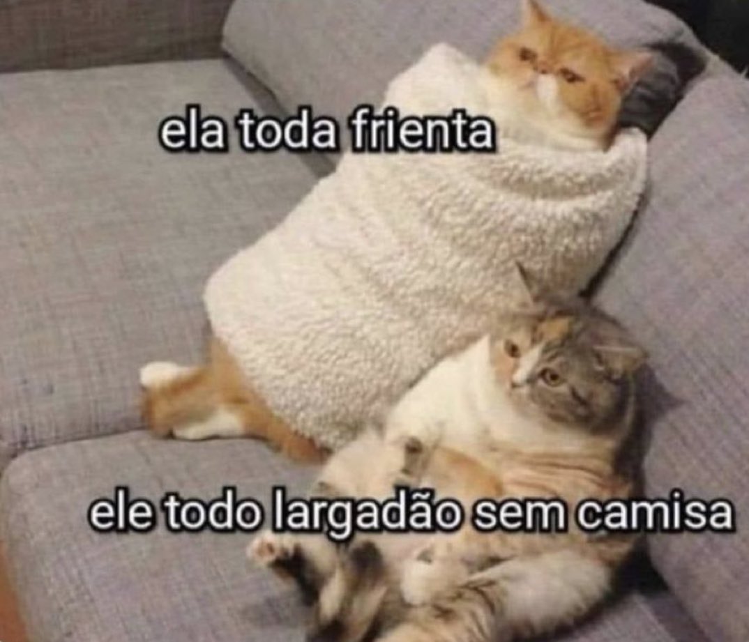 O modelo de casal moderno hoje em dia é tipo assim: