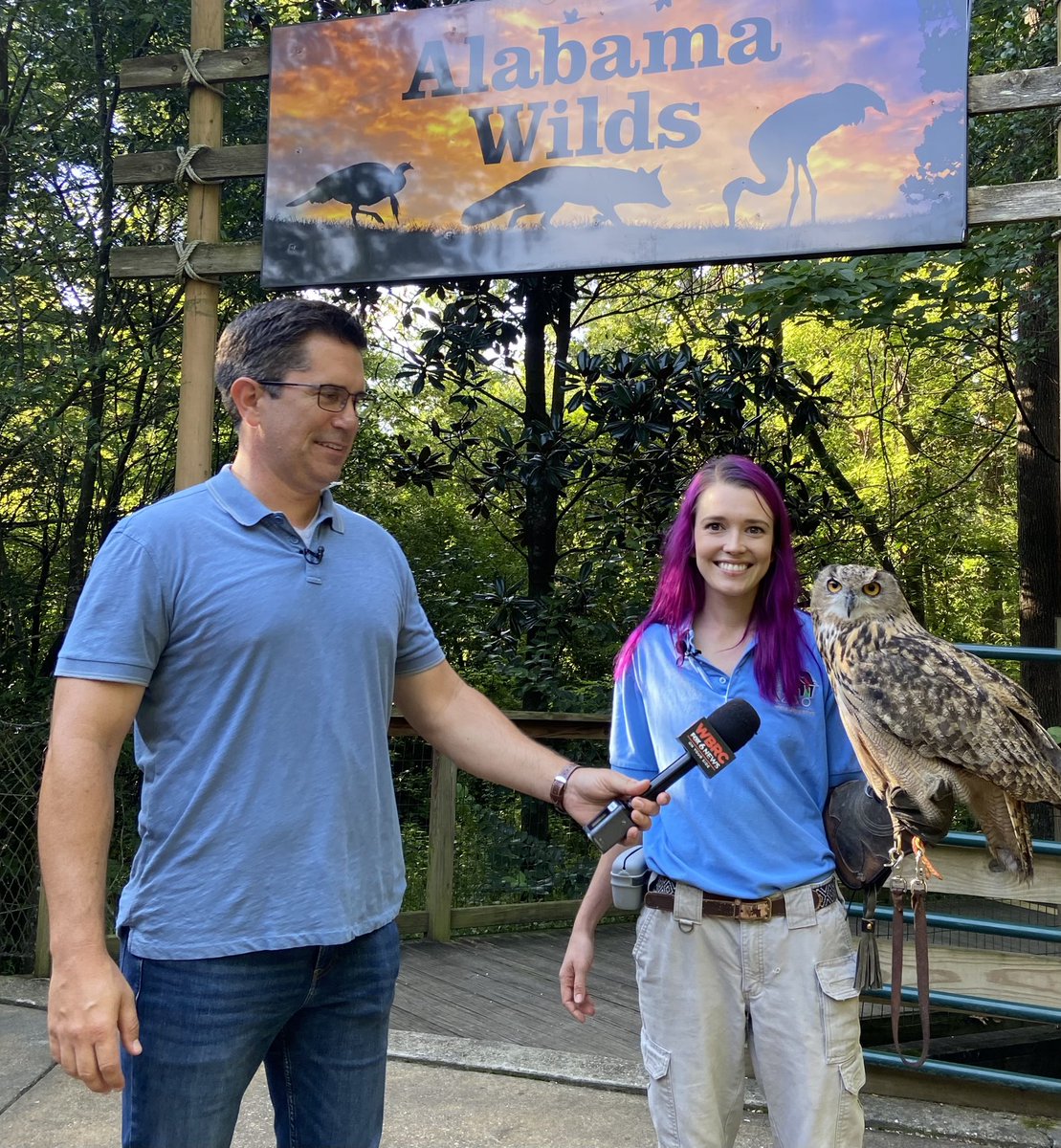 Look hoo's talking! I interviewed an owl this morning at the the Birmingham Zoo.
You should come meet Bilbo, he’s a hoot.