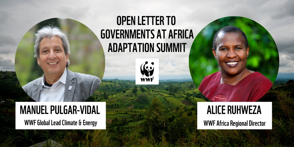 🌍 This year offers a unique opportunity to support Africa in adapting to climate impacts.

We must grasp it, write WWF's <a href="/manupulgarvidal/">Manuel Pulgar Vidal</a> &amp; <a href="/aruhweza/">Alice Ruhweza</a> in an open letter to govts attending <a href="/GCAdaptation/">Global Center on Adaptation</a>'s #GCA2022: bit.ly/3q6Zjr3

#COP27 #ClimateAdaptationAction