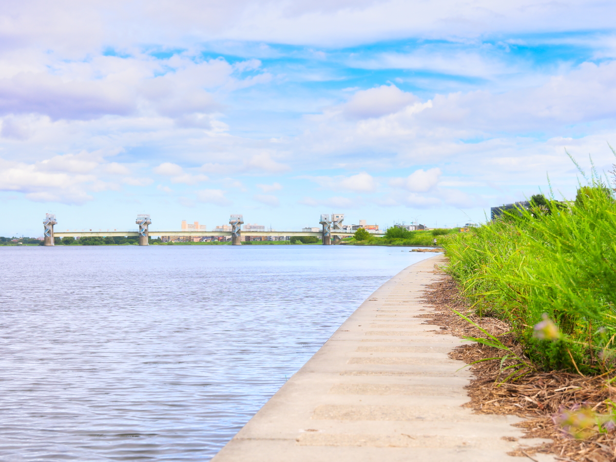 0bxh1heykieq M 0bxh1heykieq M