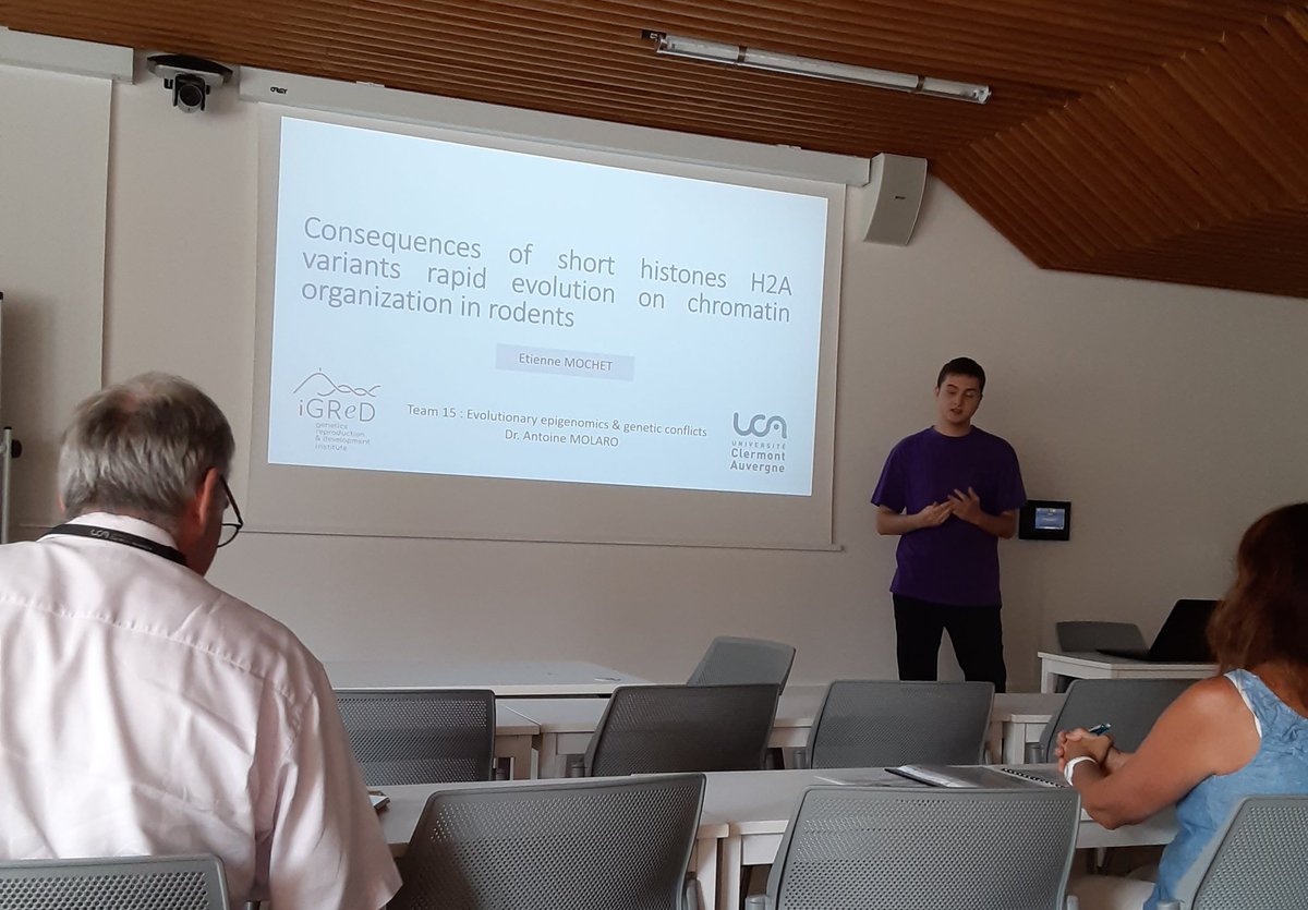 AntoineMolaro's tweet photo. Congrats to @etiennemochet for a stellar final exam of his 1st year of masters! @etiennemochet will be studying recombination for his 2nd year! #ProudPI #MolaroLab #watwat https://t.co/D9hc9vIzNL