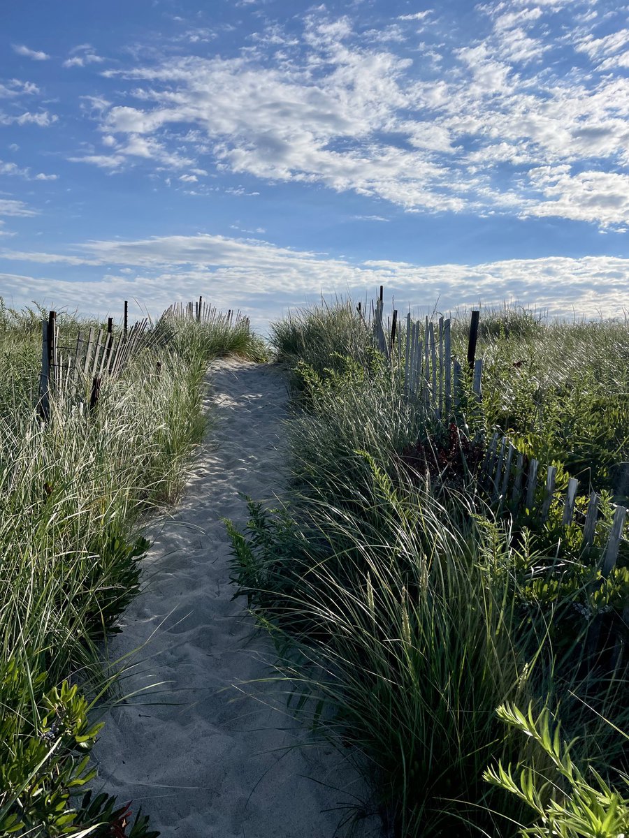 jenneumann3's tweet photo. Girls are back to school so itโs back to early morning beach walks with my little side kick. #lovewhereyoulive #blessed #grateful #readyforfall #bentleybooboo ๐ https://t.co/TlOgRVUmhv
