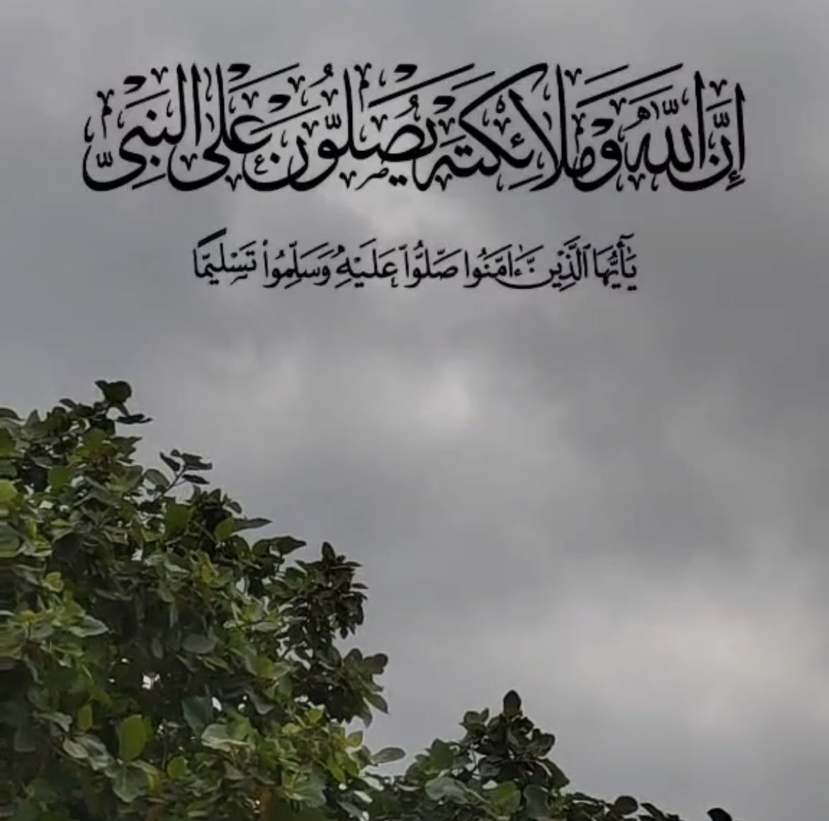 Almahash22's tweet photo. https://t.co/c5BHvUTnre